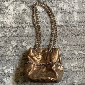 Gap Metallic Chain Purse